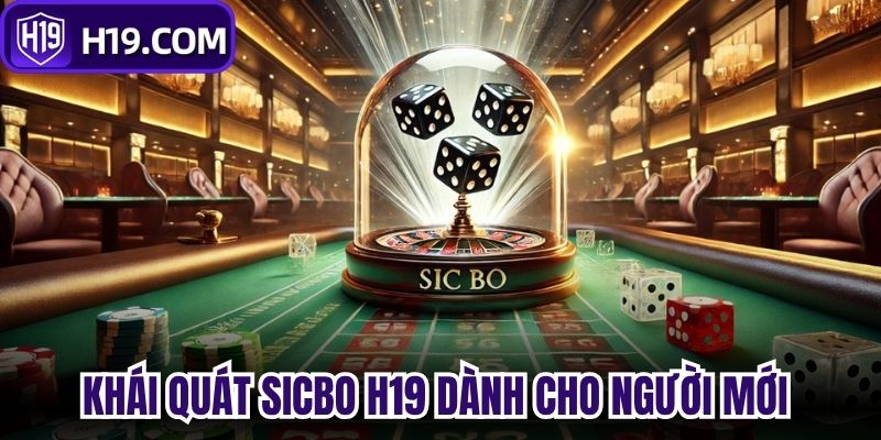 Khái quát Sicbo H19 dành cho người mới